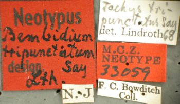 Media type: image;   Entomology 33059 Aspect: labels